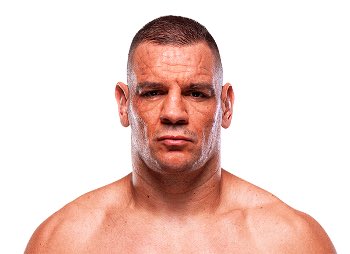 UFC Sim News tweet media