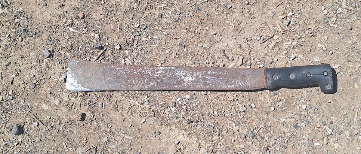 theblackeffect7's tweet image. I was thinking of going for a holiday to Melbourne.
Was told I need to pack culturally appropriate artefacts.
Not to upset the locals.
🤔🤔🤔🤔🤷