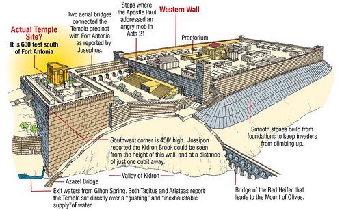 666isMONEY's tweet image. Antonia fortress on the “Temple Mount”/ Temple adjacent to #GihonSpring: popular-archaeology.com/article/antoni…