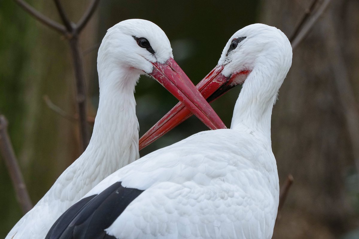 RAW撮影ではなくてもある程度満足に編集できるけど、やっぱり編集するならRAWだねぇ...と思った
