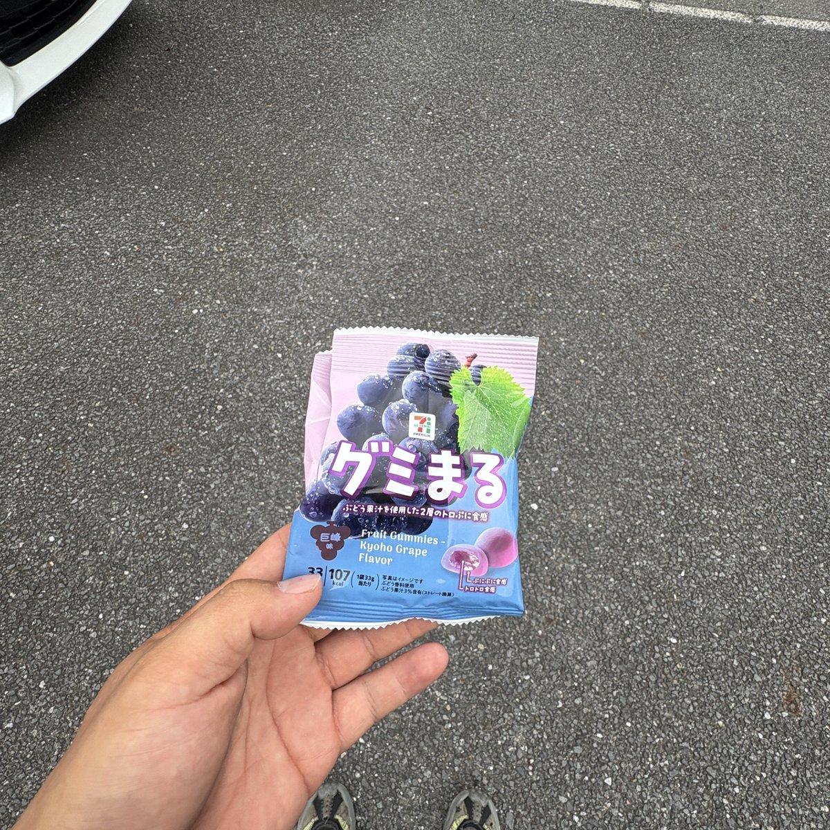 【雪太郎】 セイコー プロスペックス＞スピードタイマーより、飽くなき挑戦