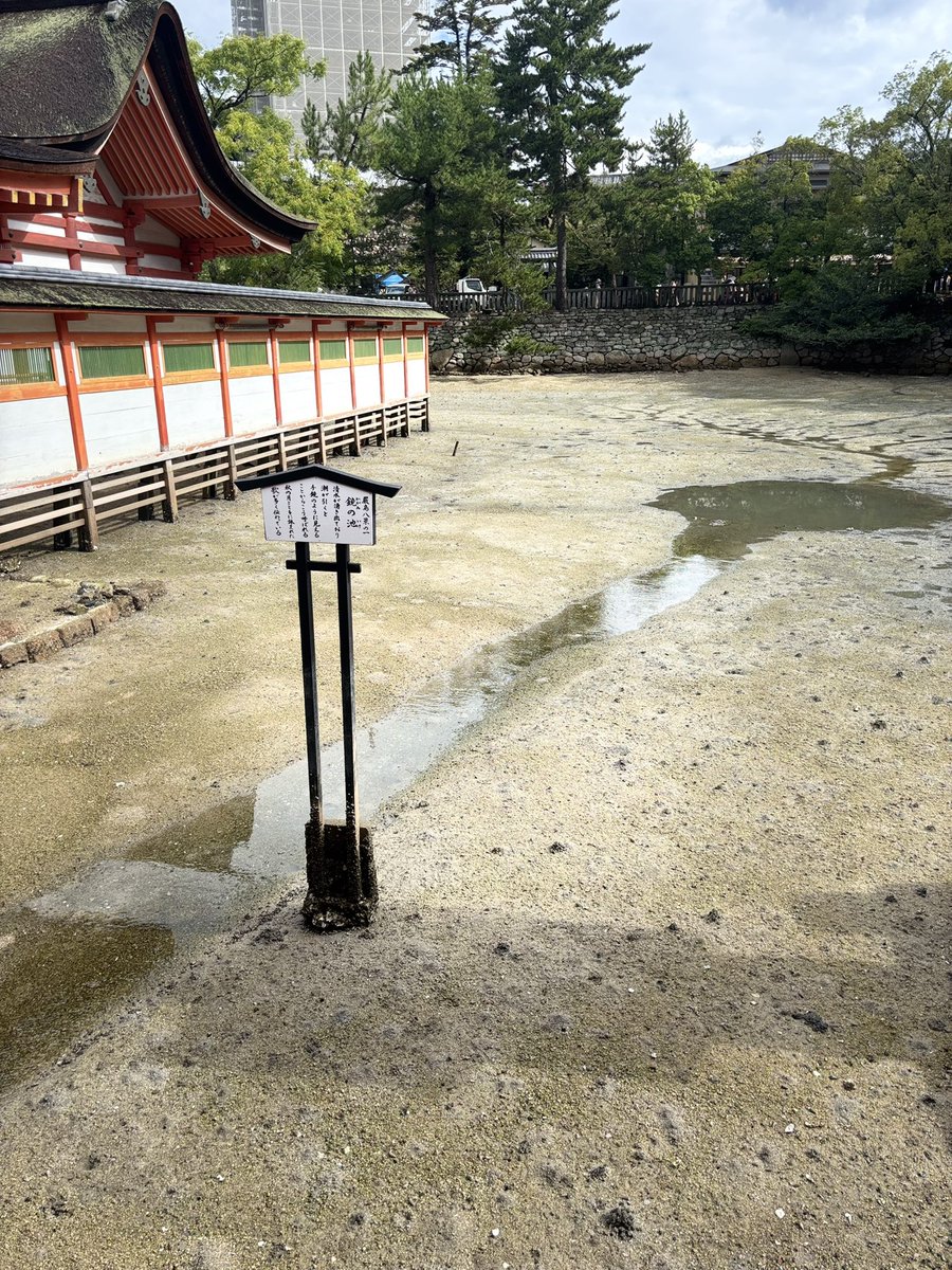 70Maru1120's tweet photo. 廿日市　ꕤ*.ﾟ
厳島神社𓈒 ˖ ࣪ 𝜗𝜚 https://t.co/EfWWiamds4