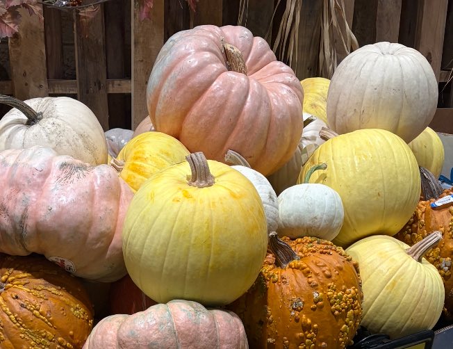ThinkTallPR's tweet photo. Hello October! May the Harvest be plenty! 🍁🍂 https://t.co/HOE8w4FGKZ