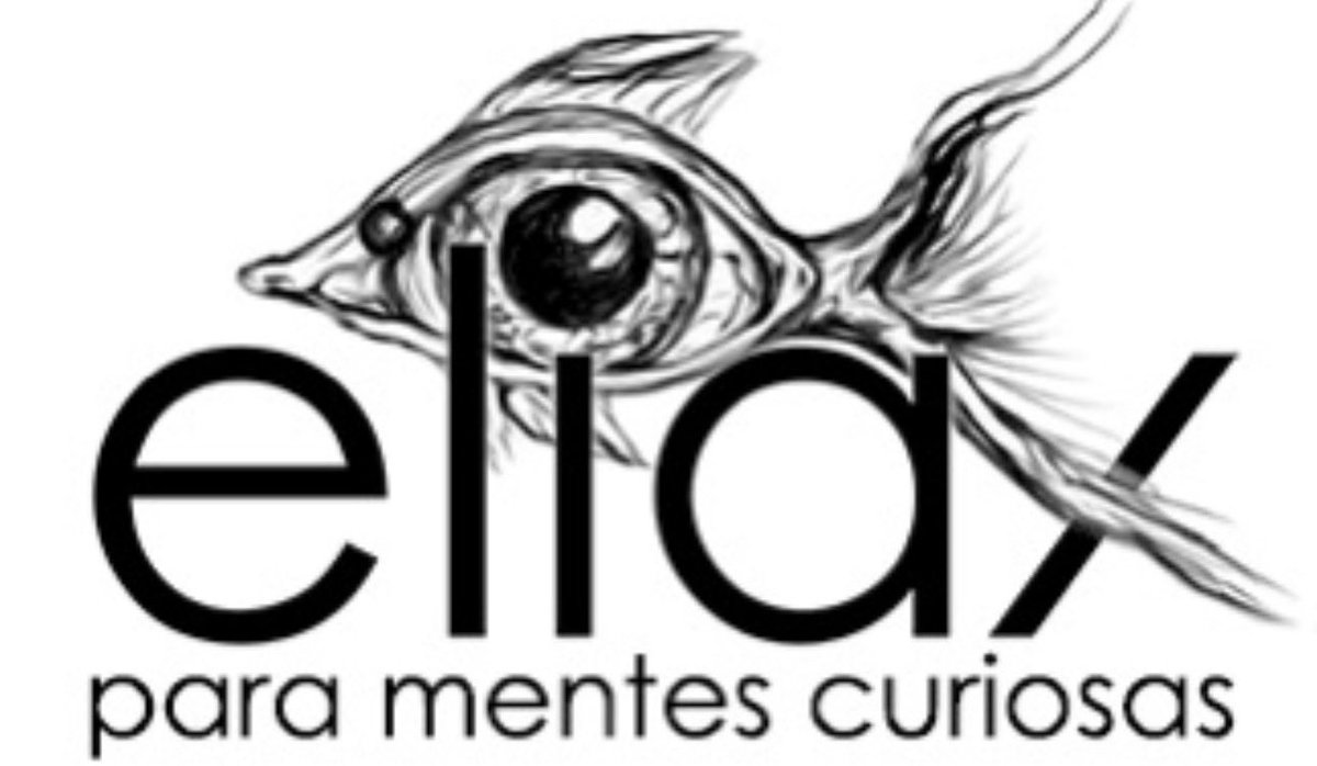 José Elías tweet media