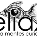 Photo by José Elías (@eliax)