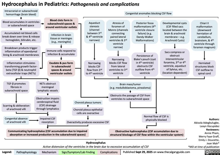 Hydrocephalus in pediatrics.

calgaryguide.ucalgary.ca