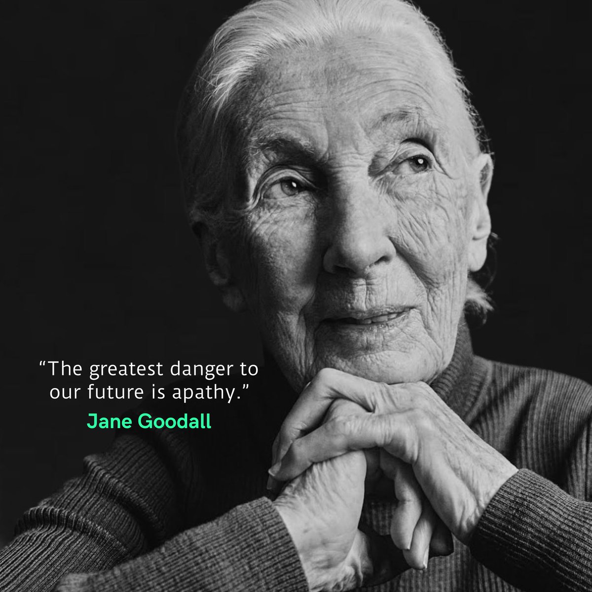 “The greatest danger to our future is apathy.” Jane Goodall