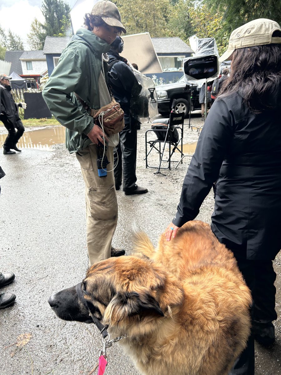 Andrew Georgy-Embree tweet media