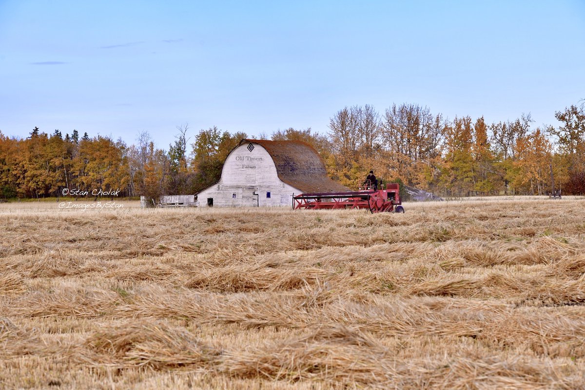 Images By Stan tweet media