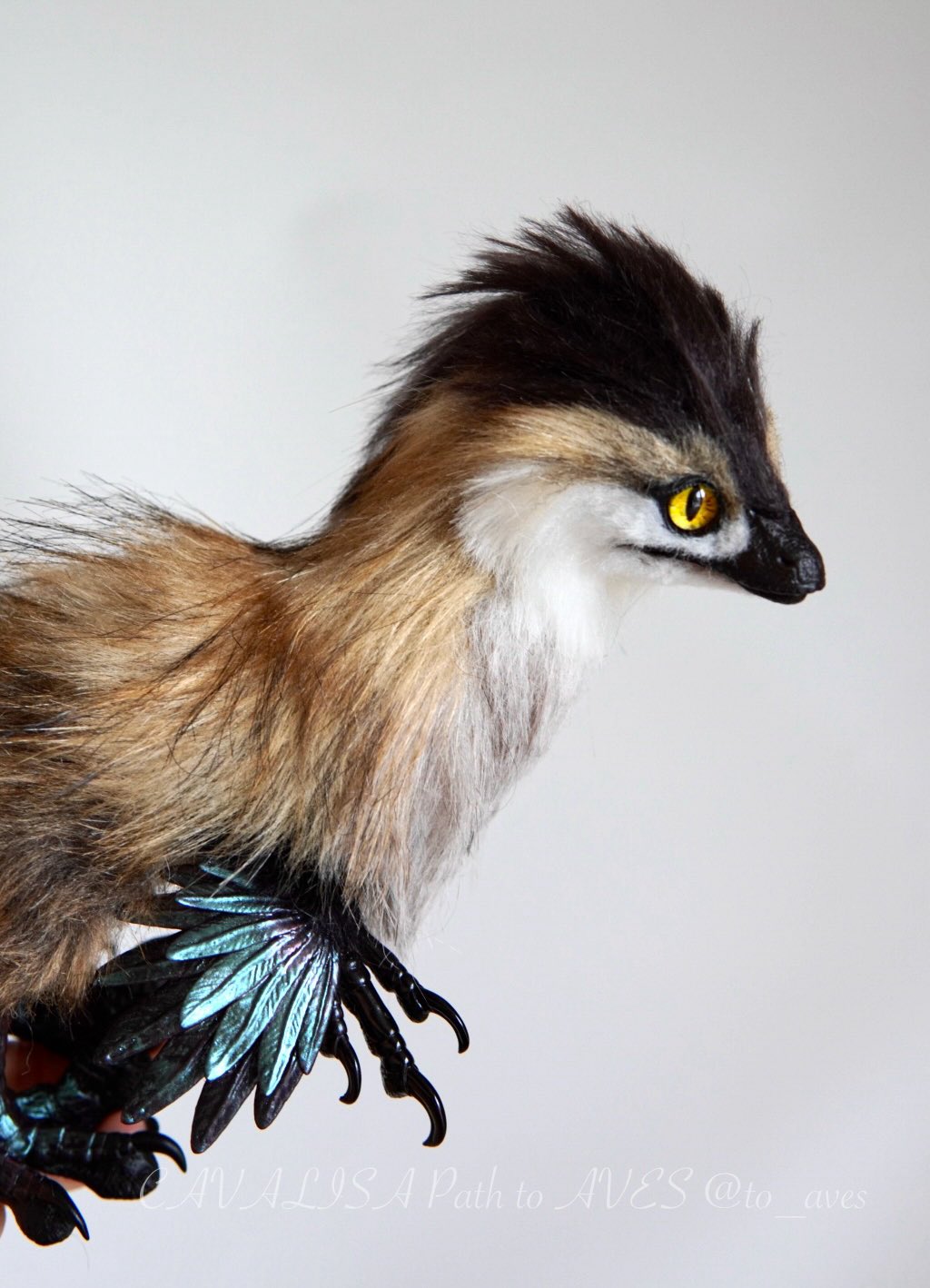 ｱｰﾄﾄﾞｰﾙ - Search / X