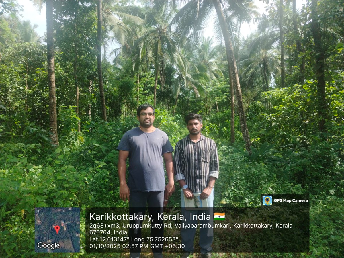 CoconutBoard's tweet image. #PICCS -2025-26
Random Field Inspection of Various CPS of Kannur District was conducted on 01.10.2025