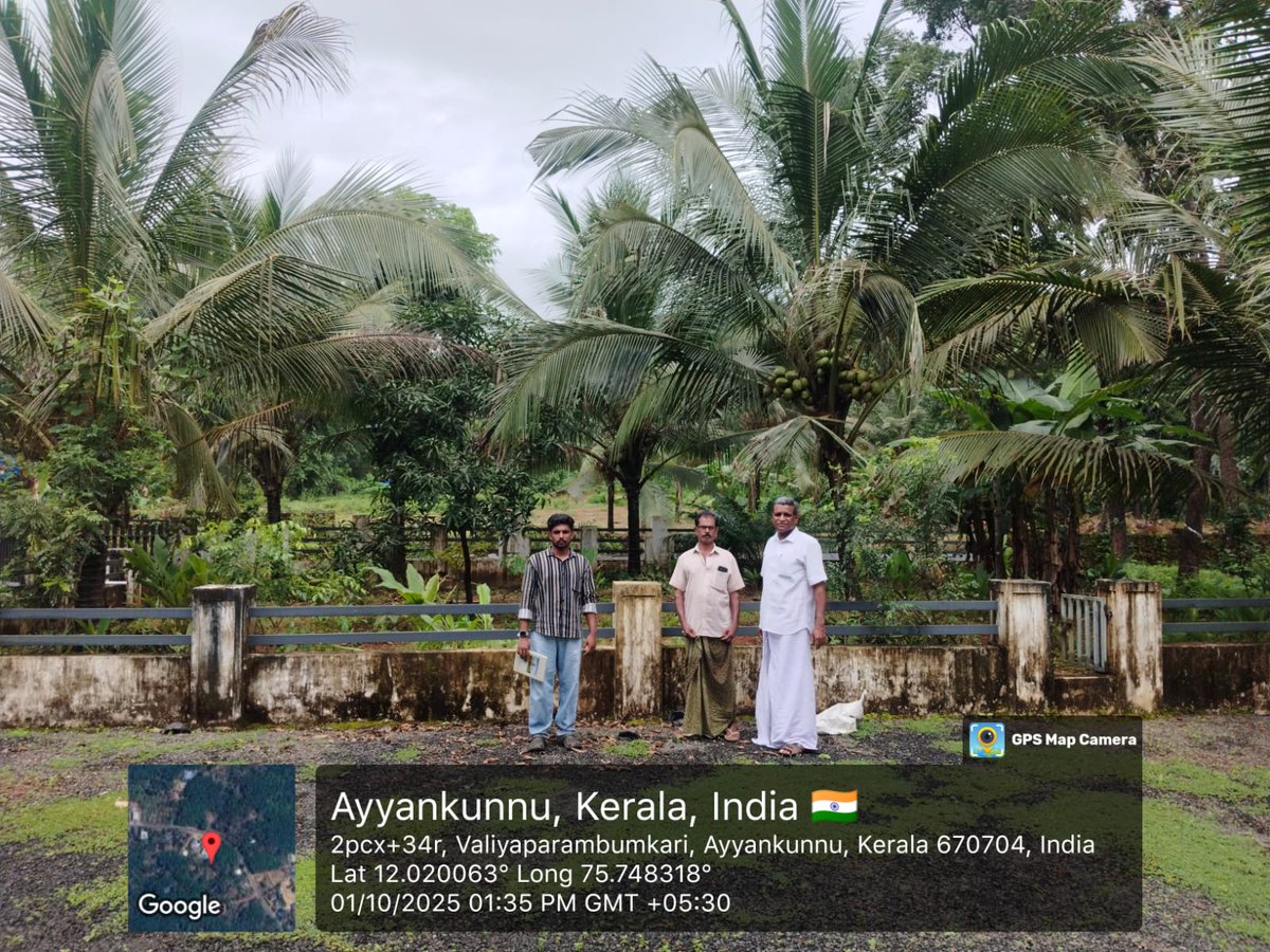 CoconutBoard's tweet image. #PICCS -2025-26
Random Field Inspection of Various CPS of Kannur District was conducted on 01.10.2025