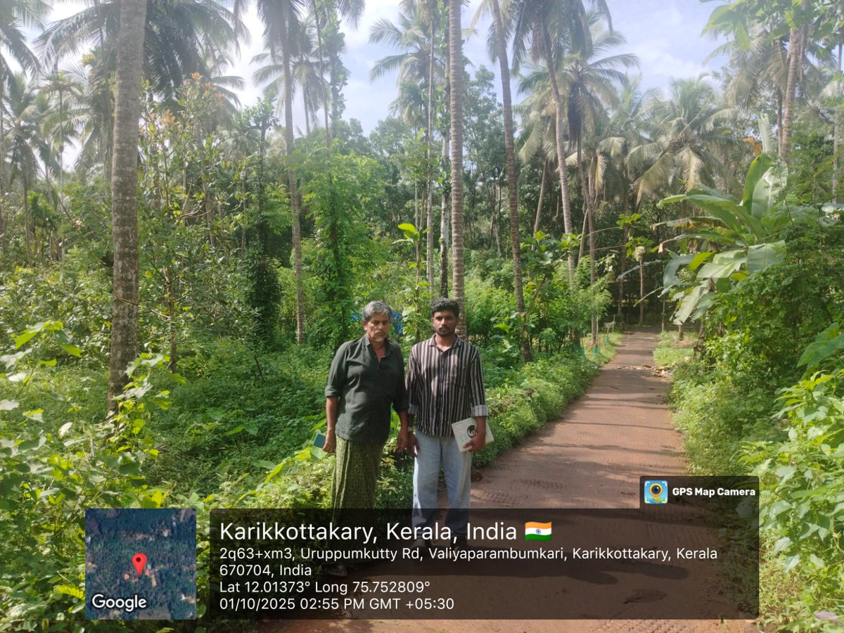 CoconutBoard's tweet image. #PICCS -2025-26
Random Field Inspection of Various CPS of Kannur District was conducted on 01.10.2025