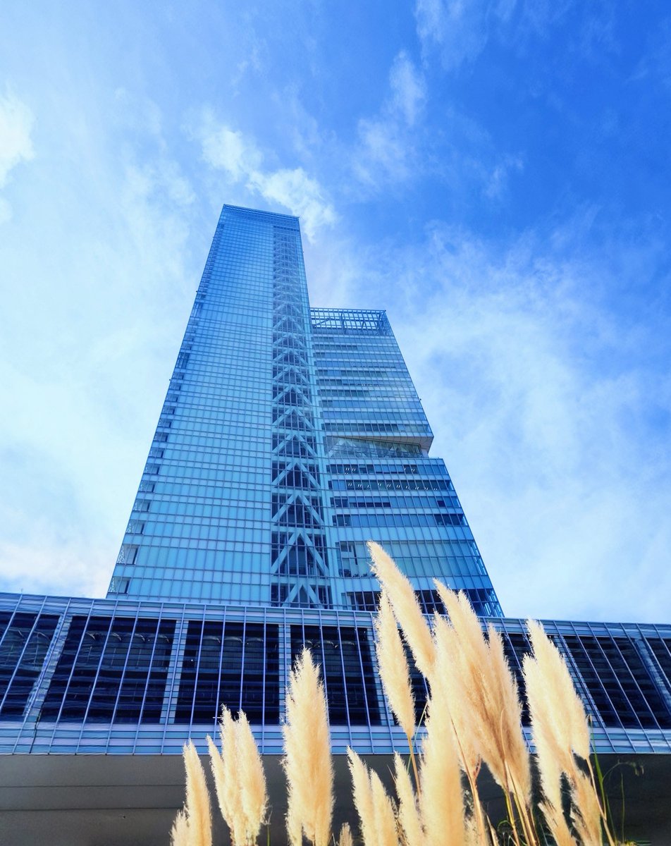 .* ⚘

ハルカスガーデンに
パンパスグラス

ベンチに座っていると
秋風が心地よい

#イマソラ