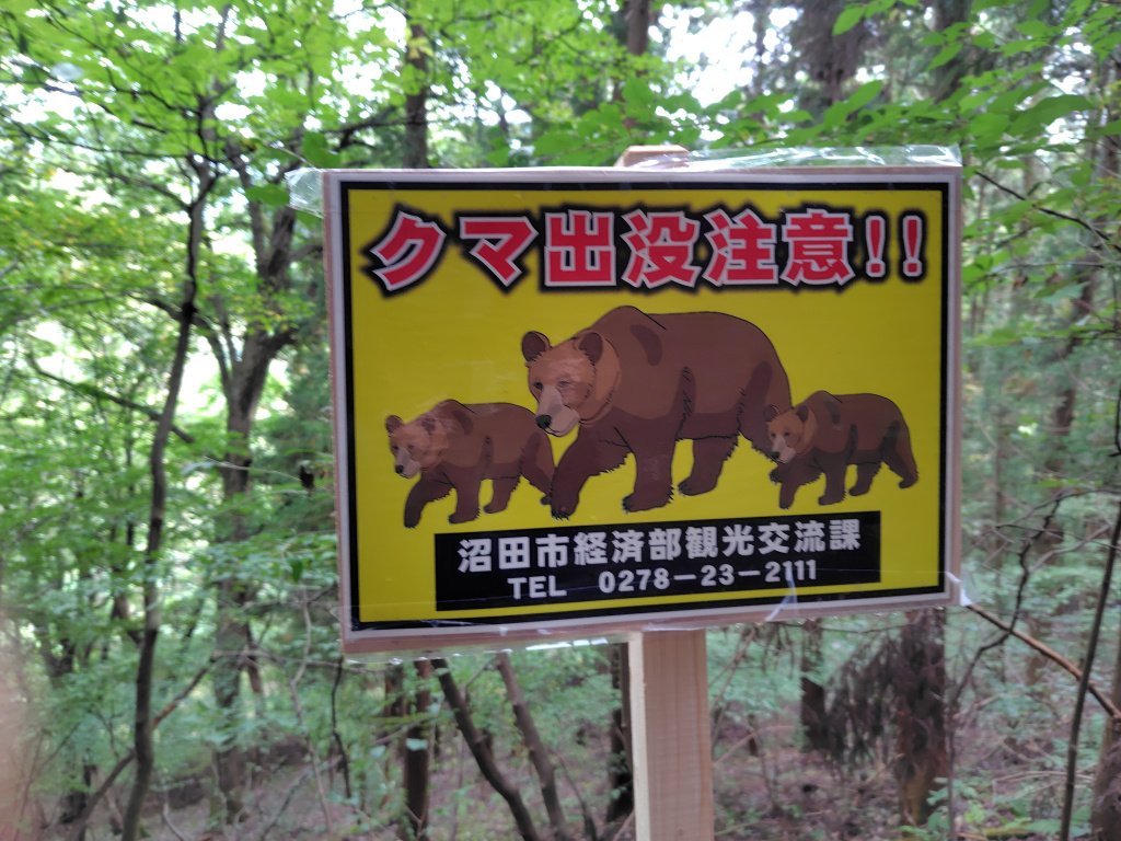 吹割の滝にも行ってきました。確かに吹割れてるっておもいました。