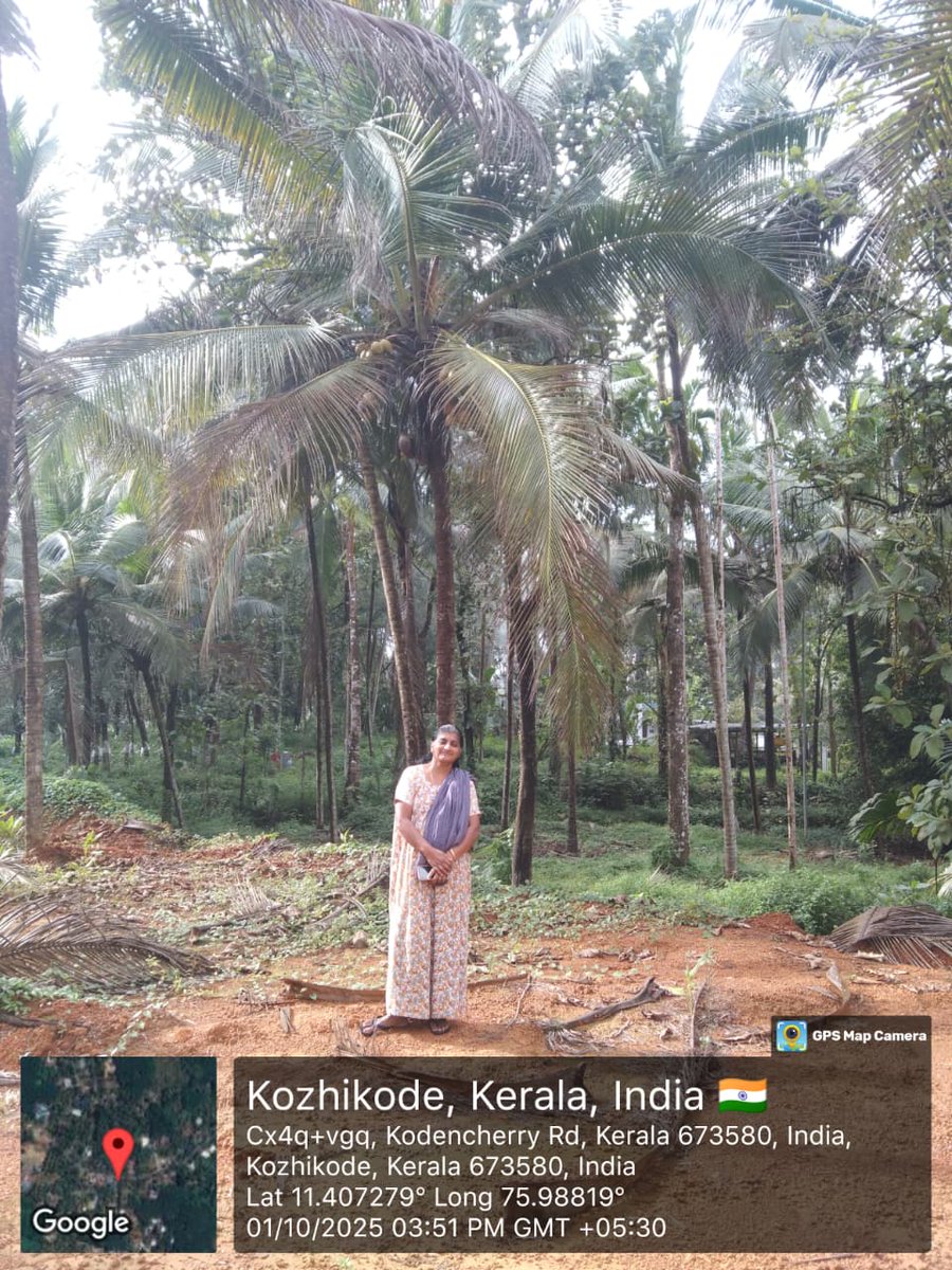 CoconutBoard's tweet image. #PICCS -2025-26 Random Field Inspection of Various CPS of Kozhikode District was conducted on 01.10.2025