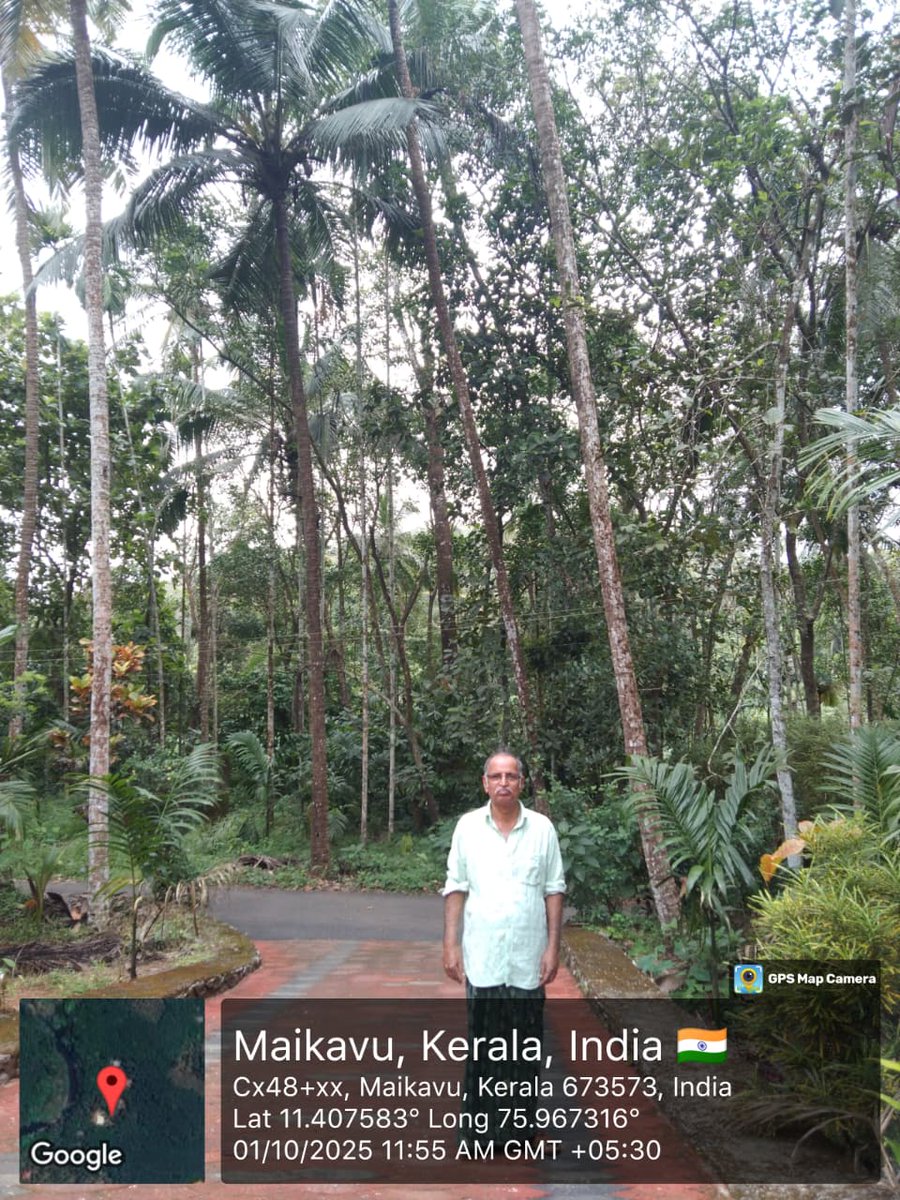 CoconutBoard's tweet image. #PICCS -2025-26 Random Field Inspection of Various CPS of Kozhikode District was conducted on 01.10.2025