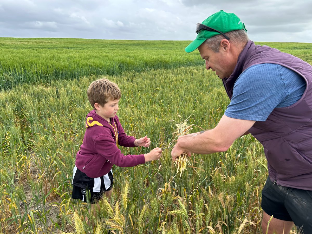 Andrew Ware tweet media