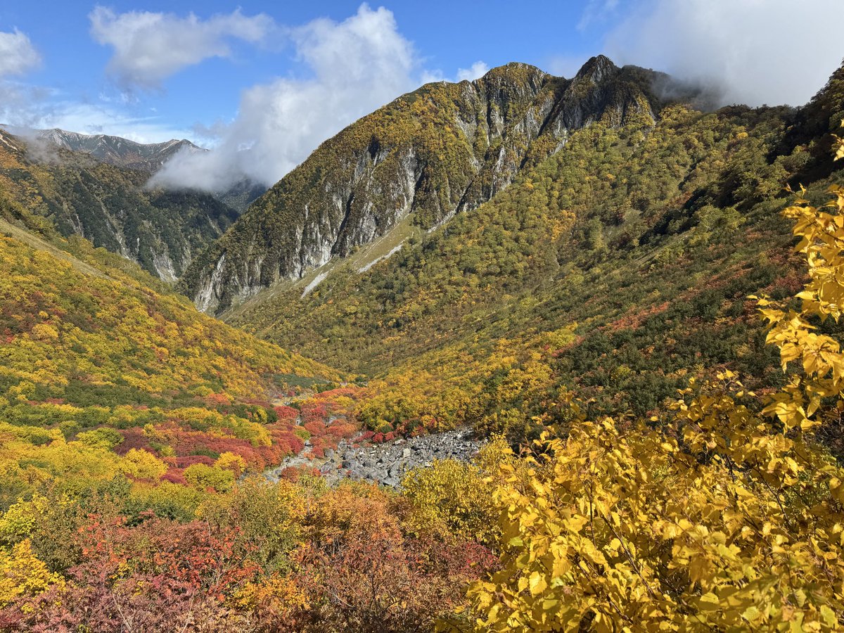 karasawa_hyutte's tweet image. カールの上から下まで一気に染まるのは、何年ぶりでしょうか。まさに“日本の秋の極み”です。