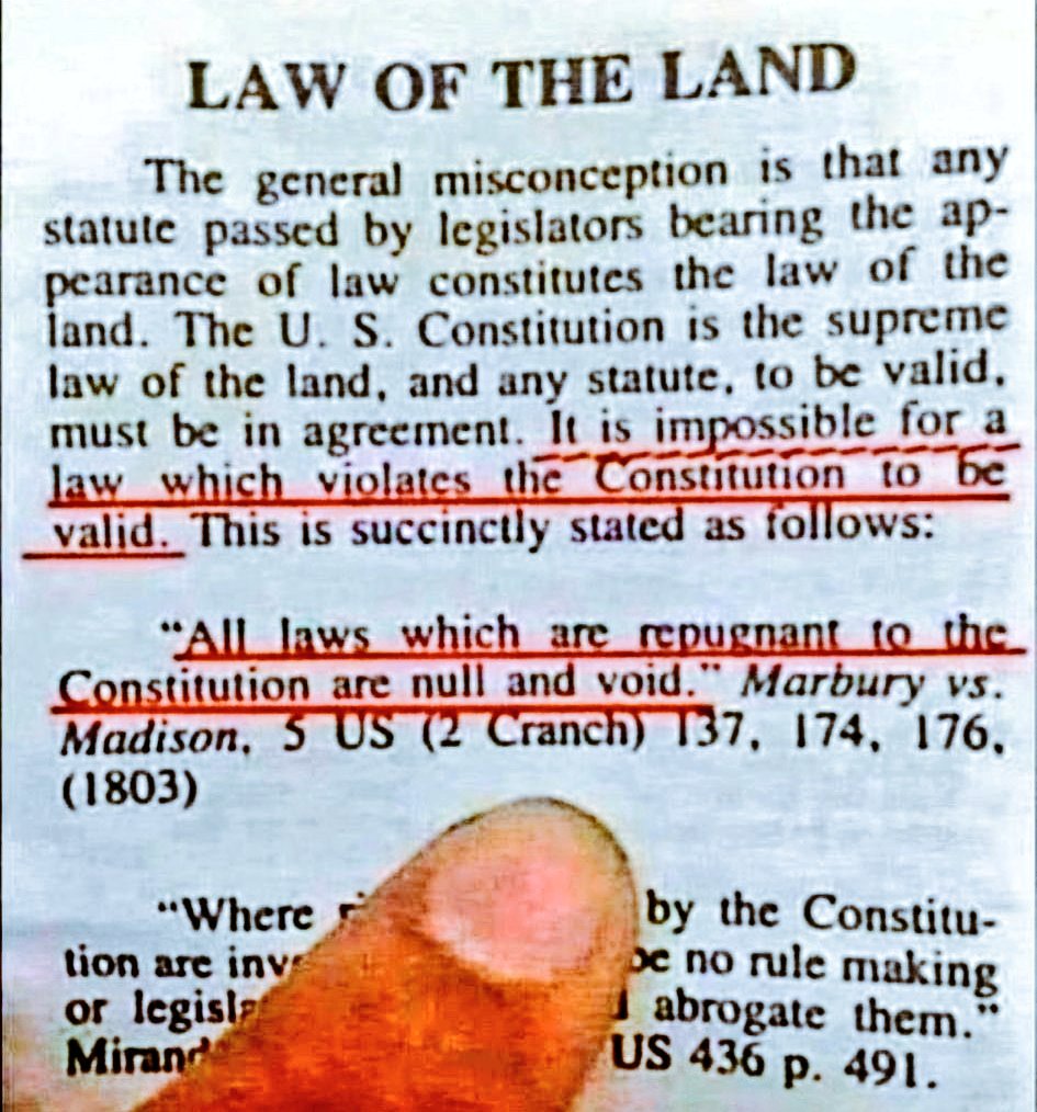 Law Of The Land‼️