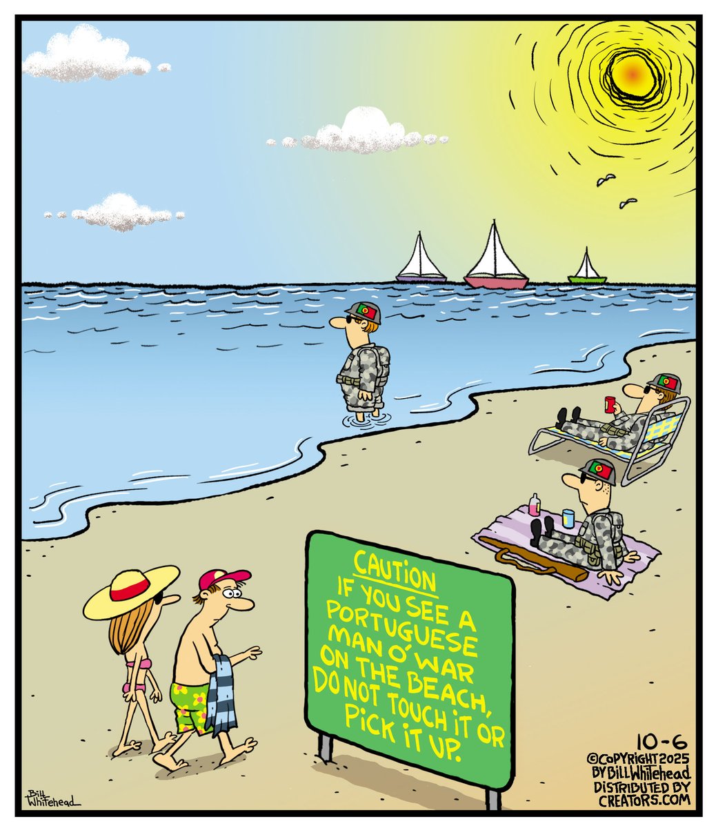 Free Range Comic. (@billwhitehead8) on Twitter photo 