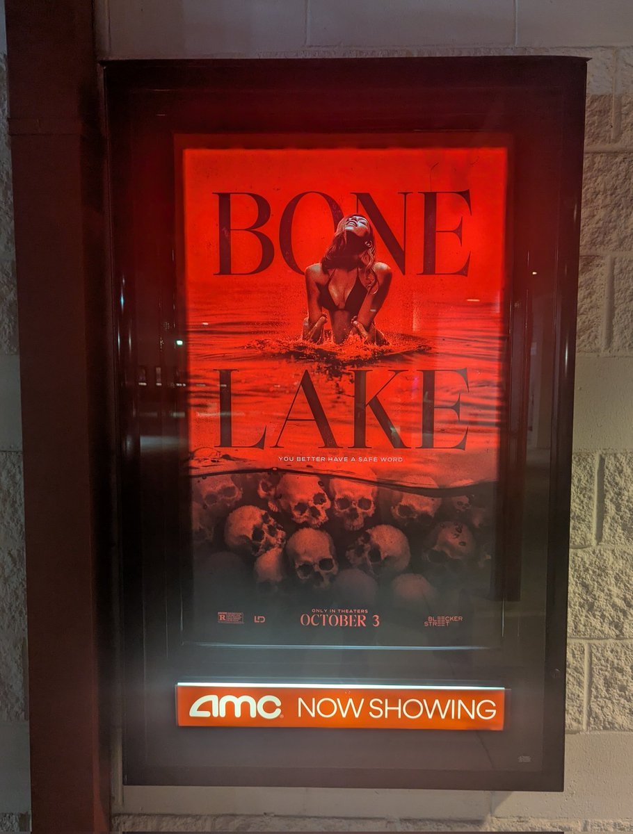 Shapes and Shadows tweet media