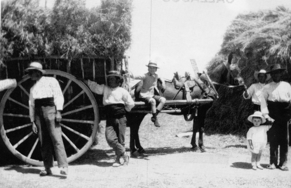 orgullomostoles's tweet photo. ¡Buenos días Móstoles! 1922, una carreta repleta de mies llega a la era, símbolo del esfuerzo y la unión de varias generaciones que vivían del campo. Pongamos que hablo de #Móstoles ¿Recuerdas historias de tus abuelos trabajando en la siega y las eras? https://t.co/WmhJd65nZI