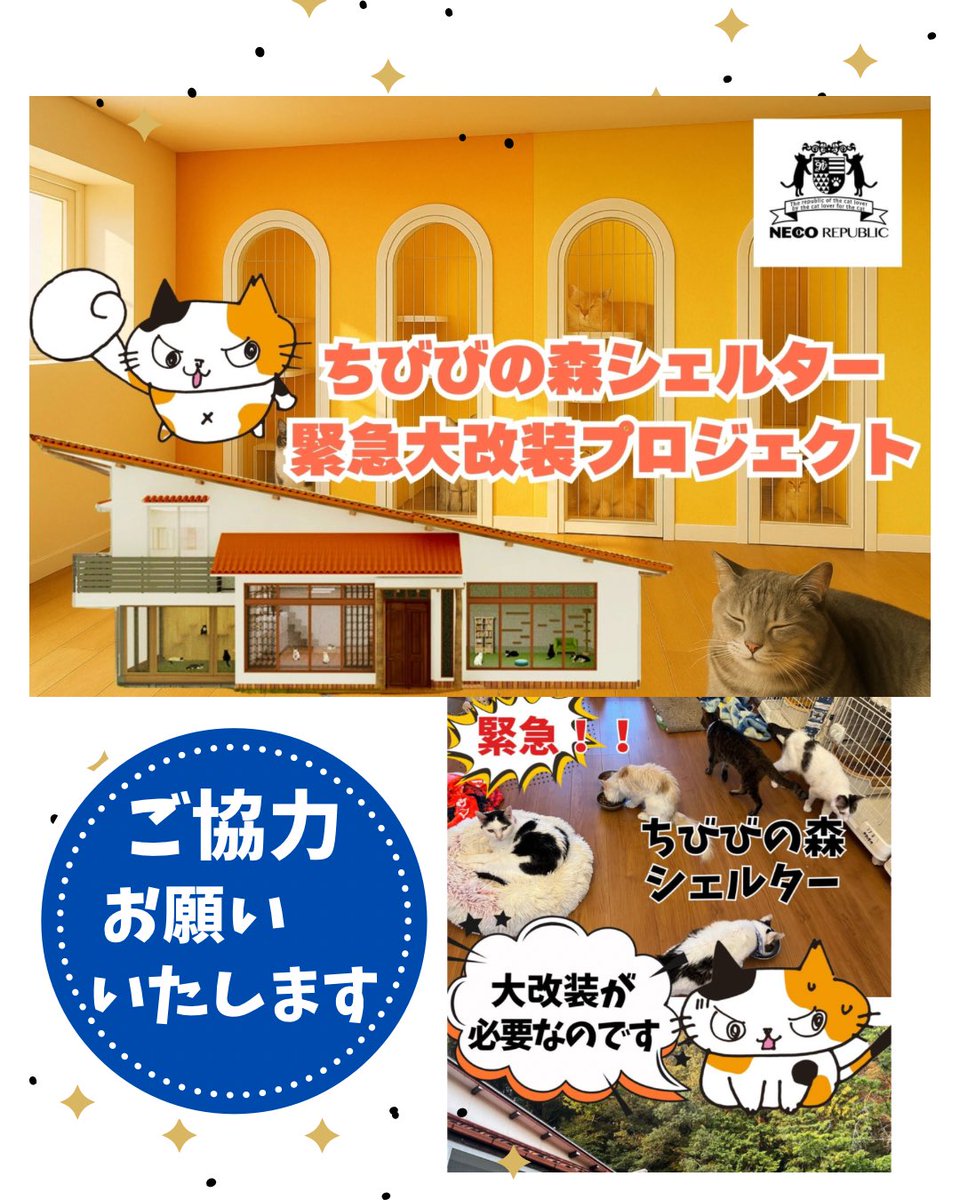 《緊急改装！「ちびびの森シェルター」
アップグレード大作戦》
～すべての猫に、最期まで 
尊厳と愛を与えられる居場所を～

を掲げ、クラウドファンディング
始まっています❗️
for-good.net/project/1002213

10月31日まで
より多くの皆さまの
ご協力をいただけますと幸いです。