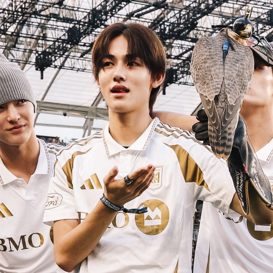 seonghyeon feed tweet media