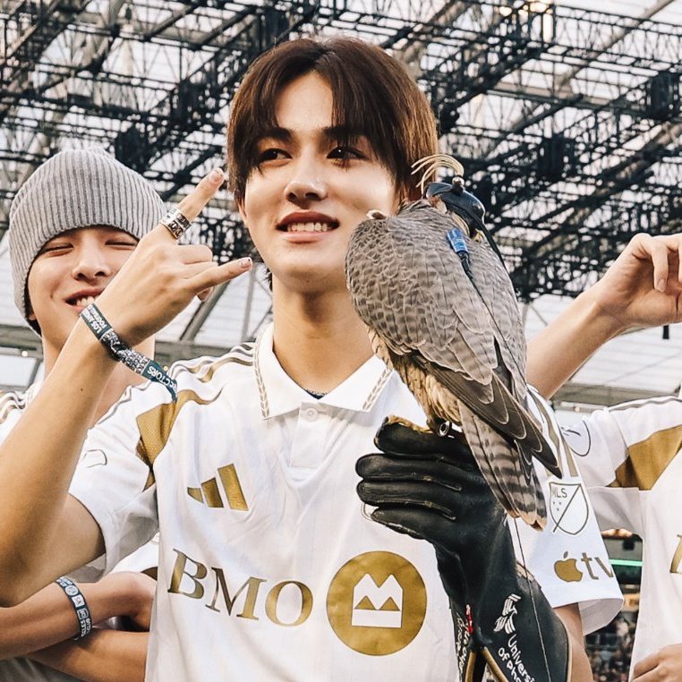 seonghyeon feed tweet media