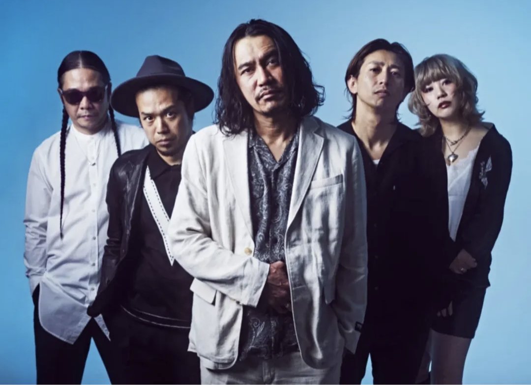 【ブロディー】OLEDICKFOGGY オールディックフォギー ５枚セット ブロディー】OLEDICKFOGGY オールディックフォギー 5枚セット