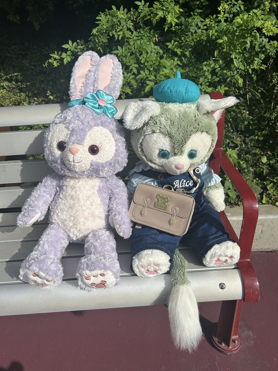 み～たん様♡確認page☆ジェラトーニ み～たん様♡確認page☆ジェラトーニ