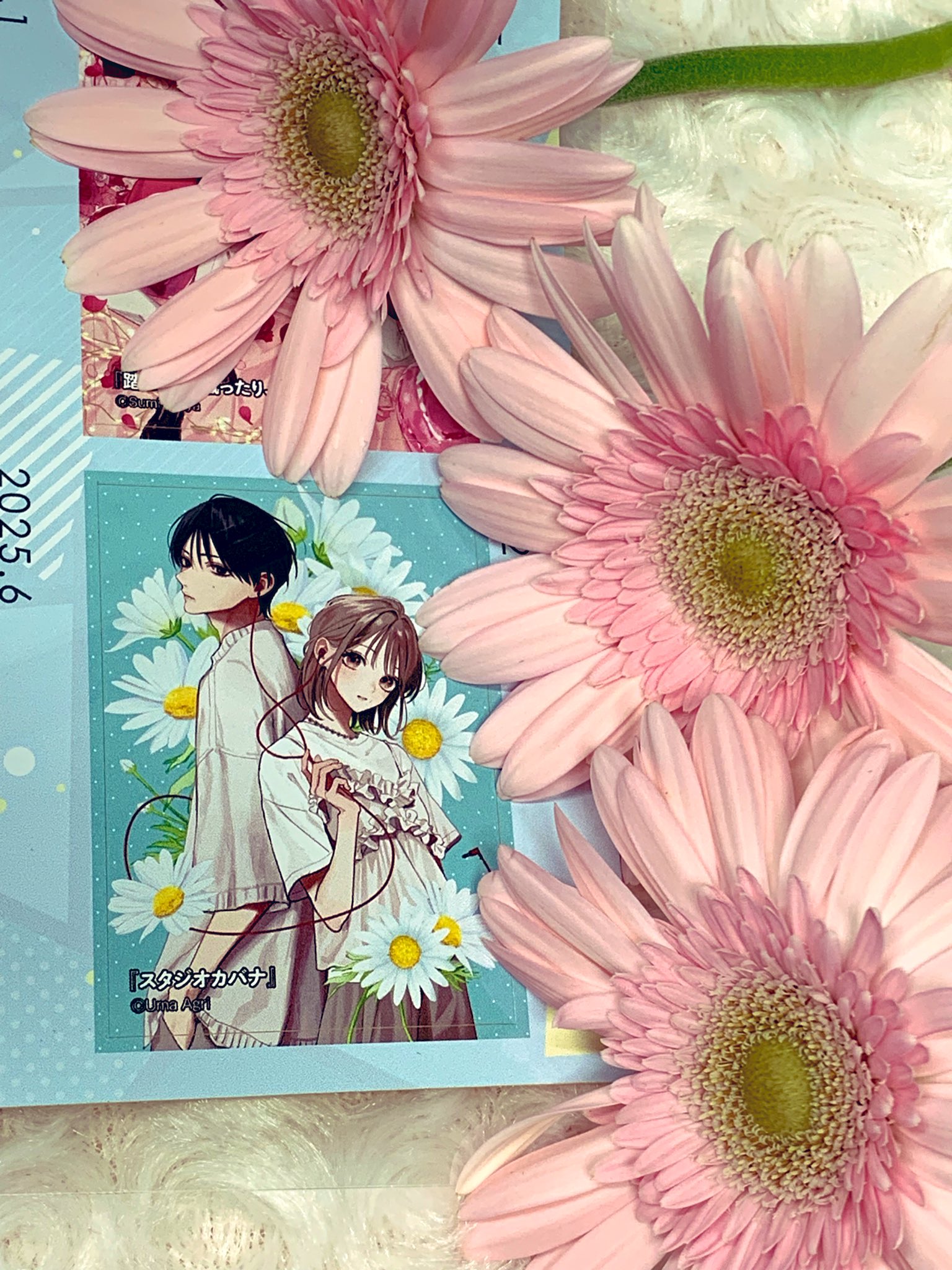 馬あぐり🎸11/21カバナ⑧発売 (@uma___) / X