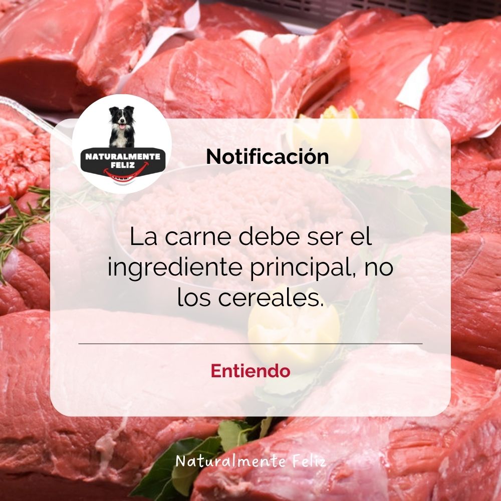 Natural_Feliz's tweet photo. ¡Nutre a tu compañero de 4 patas con lo mejor: carne de calidad es el secreto para una alimentación natural y feliz! 🐾🌿 #NutricionCanina #ComidaNatural #NaturalmenteFeliz https://t.co/NBZKOJgPKT