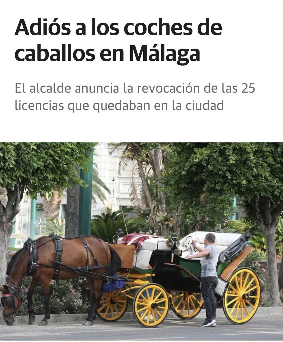 Ya era hora…

Lo siguiente es el desmantelamiento de las cocheras en Teatinos. Ya no hay excusa. 

Lo pedimos muchas veces cuando estábamos en el Ayuntamiento y siempre se fijaba este hito como el momento para hacerse… Los vecinos lo llevan esperando demasiados años.