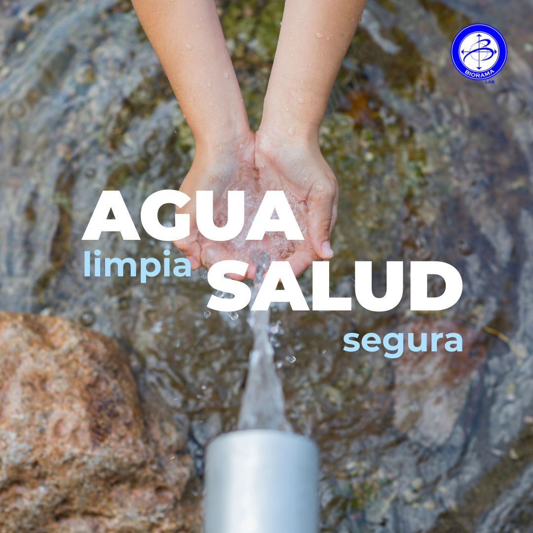 💧 El agua de pozo puede contener nitratos o bacterias invisibles.
En Biorama analizamos tu agua para proteger tu salud.
🖥 bioramalab.es
#AnálisisDeAgua #Biorama
