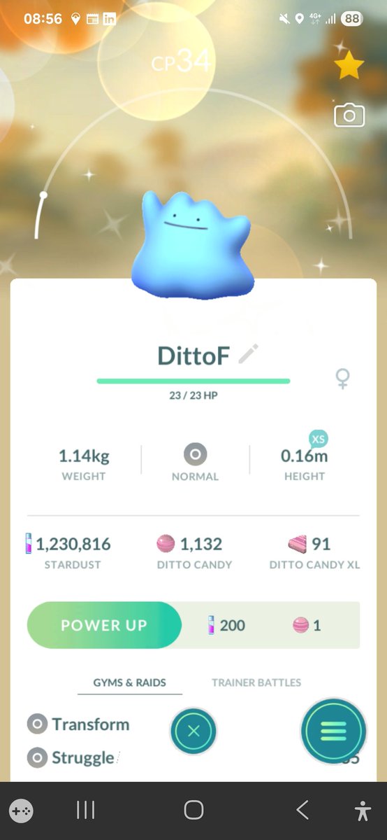I saw someone post (my 'for you' feed then overwrote it before I could follow her 🤦🏼‍♀️) about realising she had a male Ditto and a #shiny female one and that normally you get non-sexed Dittos. So I went and had a look at mine and 🤯🤯 #PokemonGo