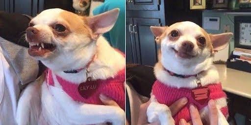 Valeria ☕🤗🤍 tweet media