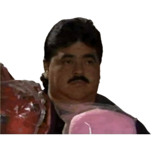 Yareli Garnica tweet media