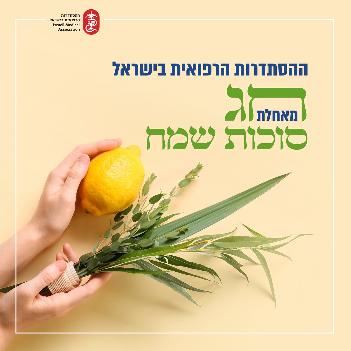 Prof.Zion Hagay tweet media