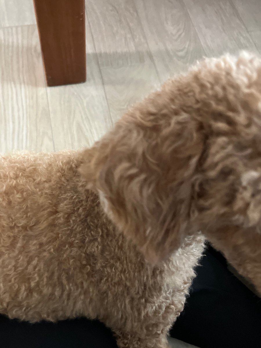 연휴의맛