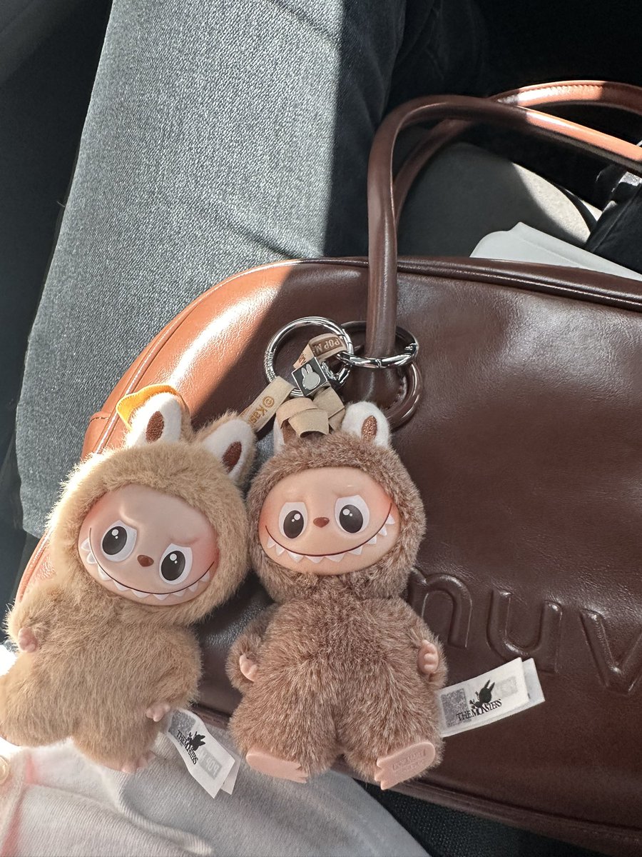 พาบู้ไปเรียน ิิ