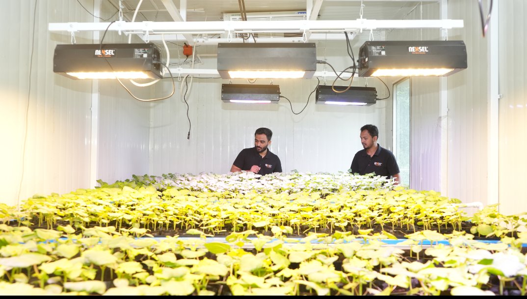 NexselT's tweet image. 🌱 New ALL-IN-1 Grow Light

Redesigned for research perfection 🌿🔬

✨ Hourly intensity | Compact | Smart control | Custom spectrum

💡 Reliable lighting = Reliable research
Now with IoT precision.

📩 info@nexsel.tech
#AllInOneGrowLight #NexselGrowLights #SmartResearch