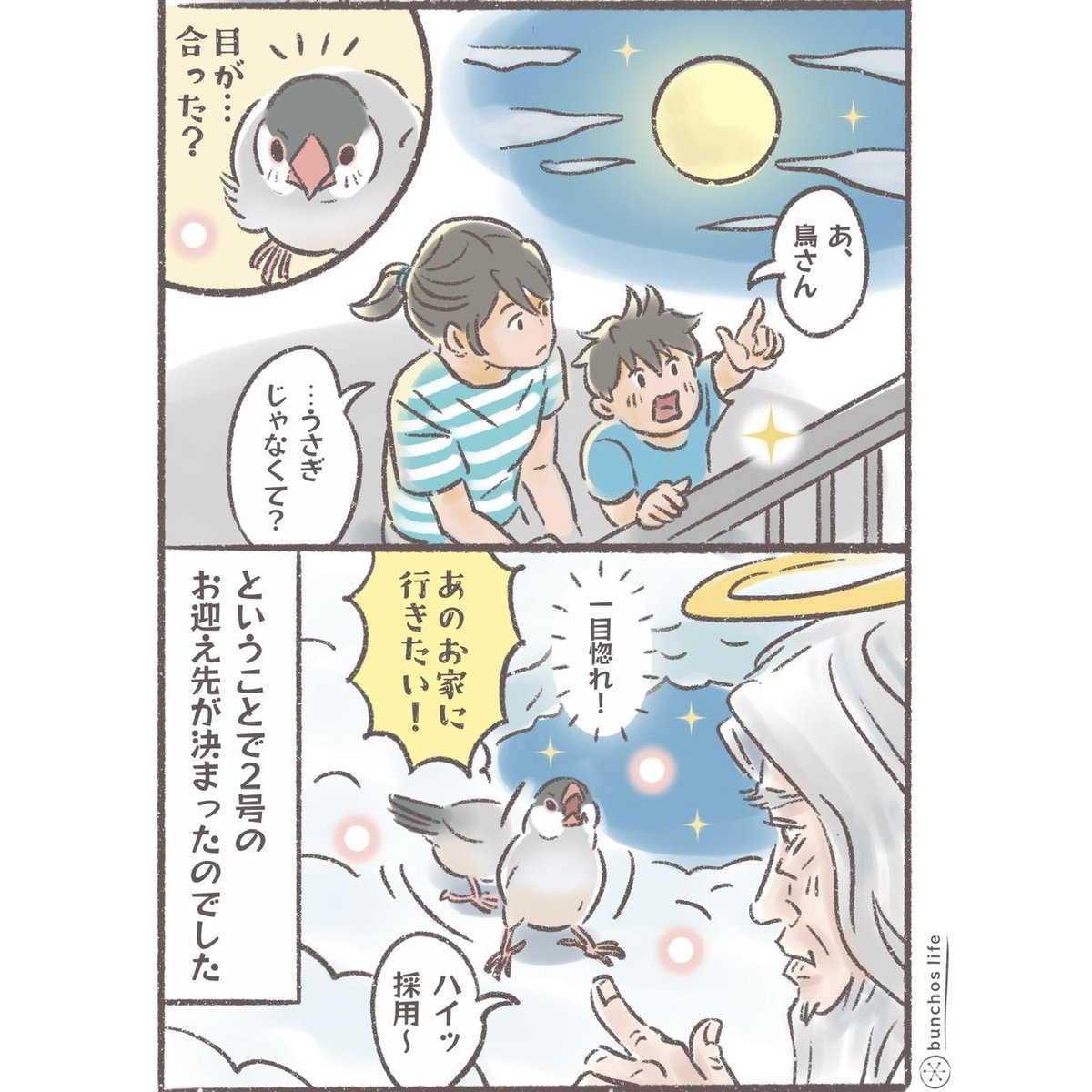 文鳥と神様〜2号が我が家に来た理由？今日は中秋の名月ですね
#文鳥 
#4コマ漫画
↓↓↓ツリーにオマケあり