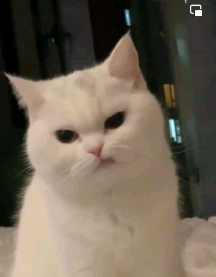 แงวขู่
