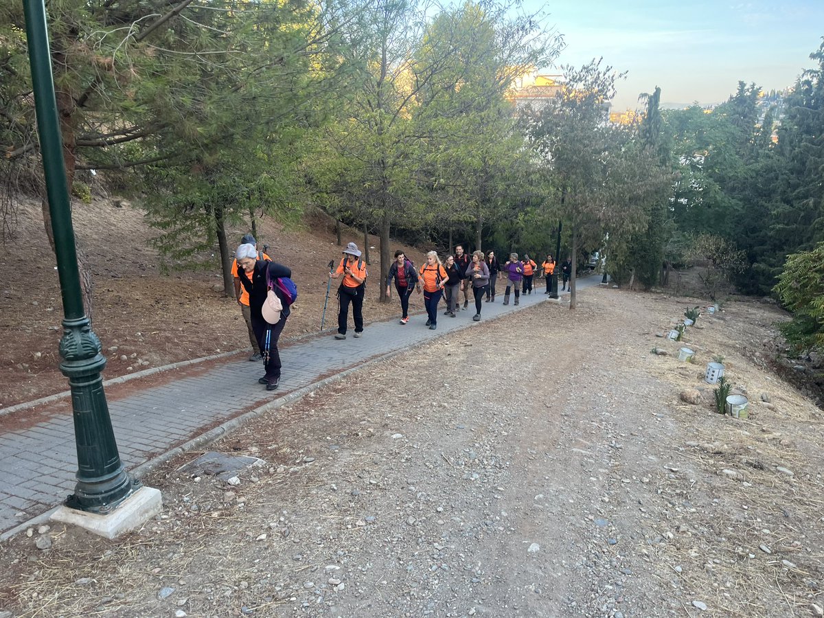 Club de Montañismo de Personas Sordas de Gr ASOGRA tweet media