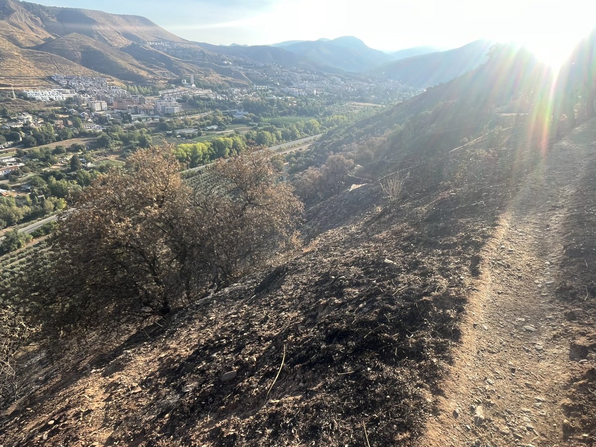 Club de Montañismo de Personas Sordas de Gr ASOGRA tweet media