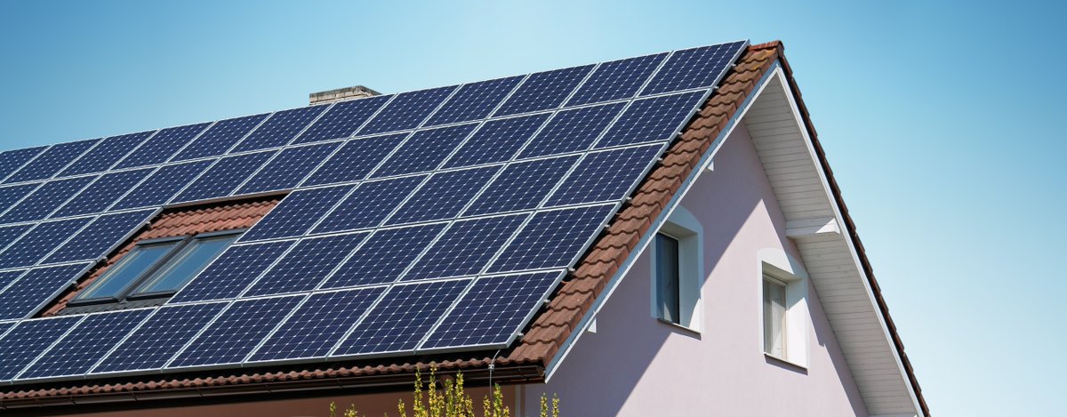 Dutchcowboys tweet media