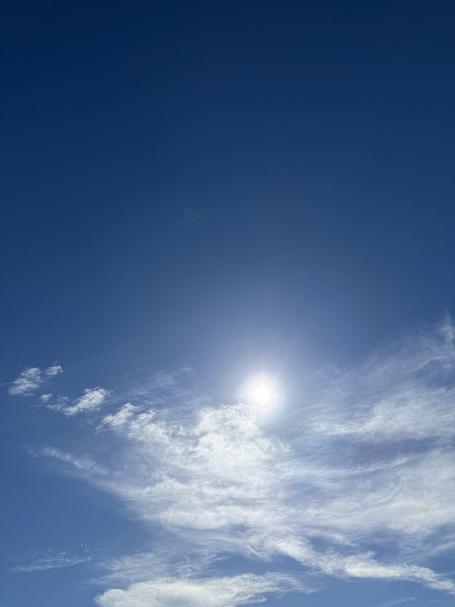 シュラフ、テント、マット干して…
家でもう一回キャンプやるのか？
それにしても今日は雨降った3日間とは正反対なピーカンであぢぃ〜💦☀️