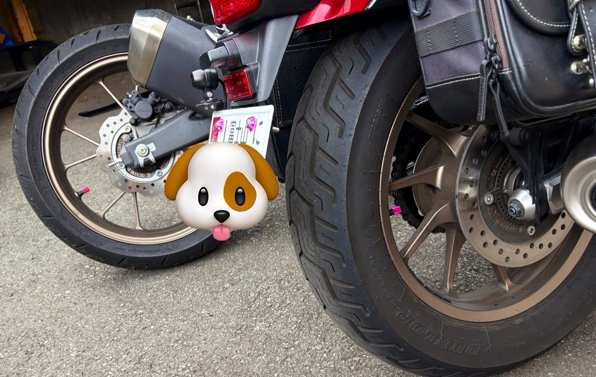 shimura420's tweet photo. じゃんけん大会戦利品
poshのバーエンドなどなど
CB250R レブル250 1台分は追加購入
取り付け完了
#SJT2025 https://t.co/Ed80K9SSDh